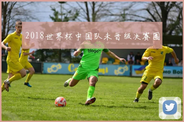 2018世界杯中国队未晋级决赛圈