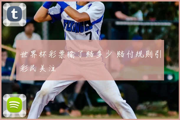 世界杯彩票输了赔多少 赔付规则引彩民关注
